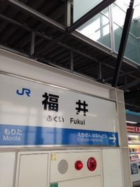 fukui1.jpg